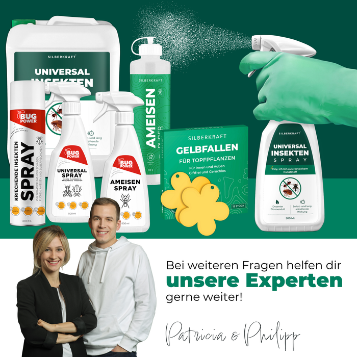 Produktübersicht der Silberkraft Insektenbekämpfungsprodukte: Verschiedene Sprays gegen Insekten, Ameisen und kriechende Schädlinge, Gelbfallen für Pflanzen sowie ein Universal Insektenspray mit langanhaltender Wirkung. Expertenberatung durch Patricia & Philipp für weitere Fragen rund um die Anwendung und Wirkung der Produkte.