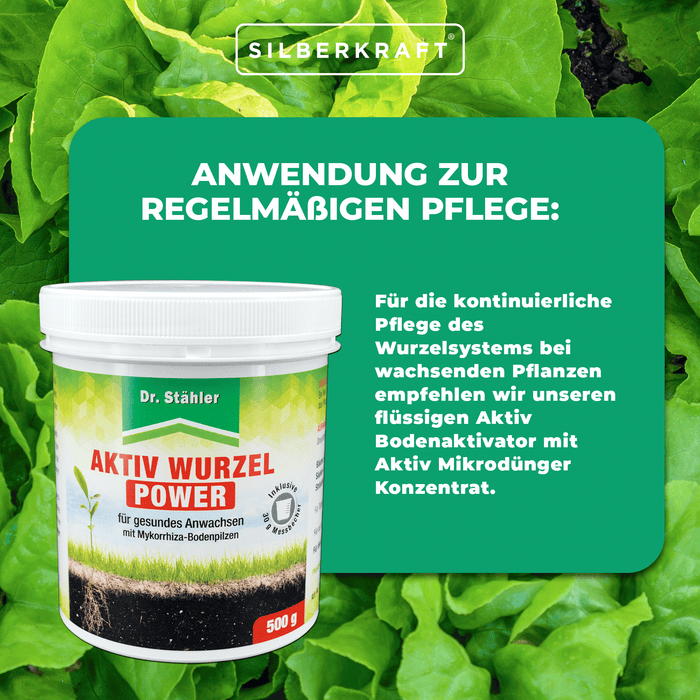 Potere attivo delle radici: rafforzamento ottimale delle piante con funghi micorrizici del terreno
