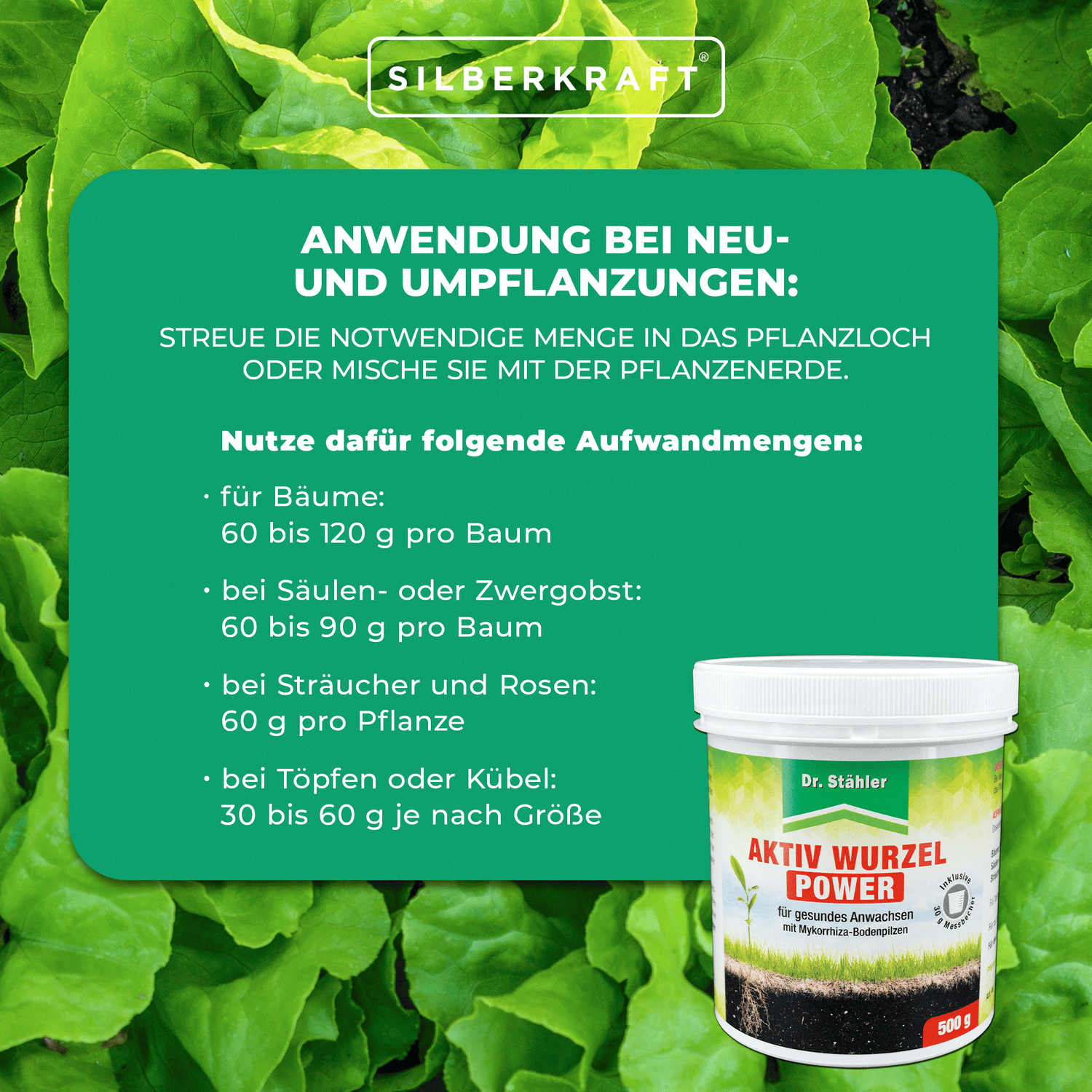 Maggiori informazioni