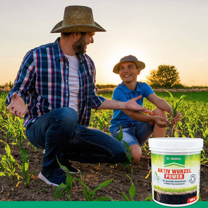 Potere attivo delle radici: rafforzamento ottimale delle piante con funghi micorrizici del terreno