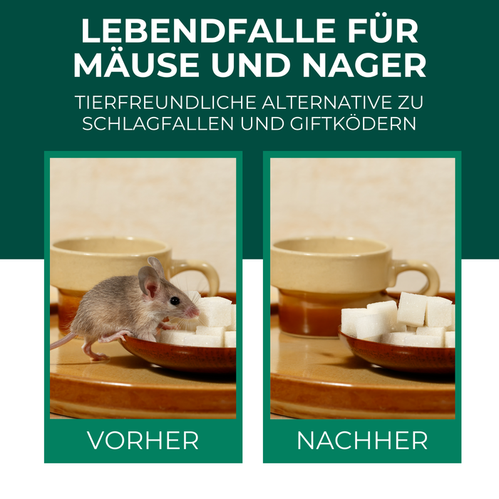 Lebendfalle für Mäuse aus Draht - Mäusefalle - tierfreundliche Alternative zu Schlagfallen und Giftköder
