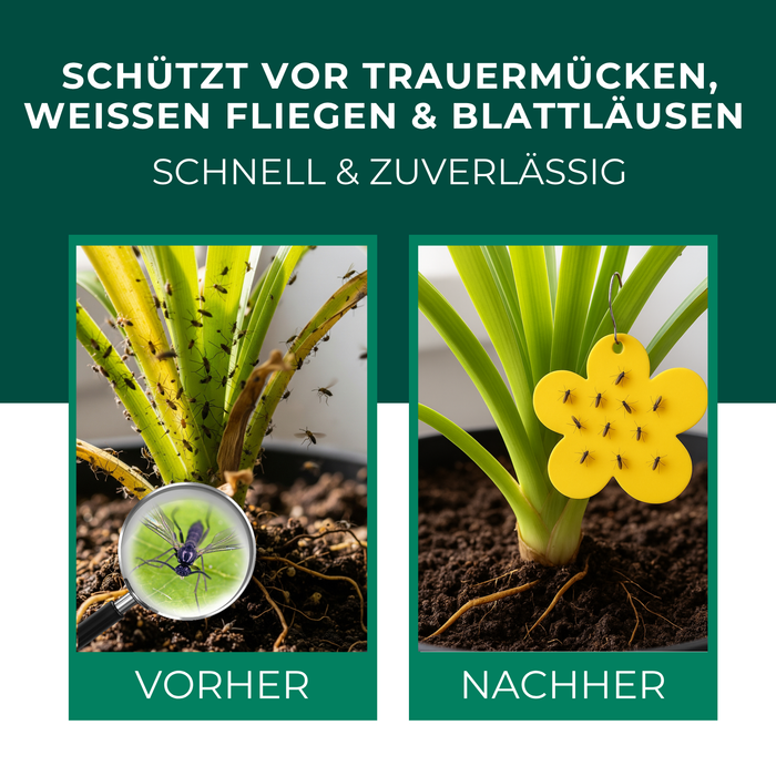 Gelbfalle Gelbtafeln Gelbsticker 12 Stück gegen Fruchtfliegen, Trauermücken, uvm.