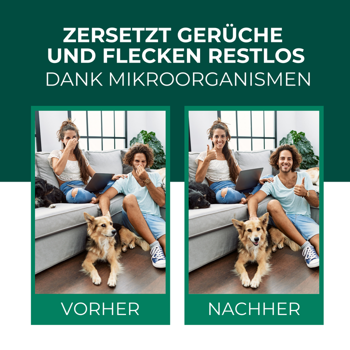 Enzymreiniger Katzen- und Hundeurin sowie Tiergerüche