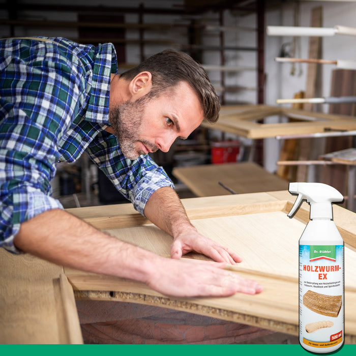 Efficace spray antitarlo: protezione affidabile contro i parassiti del legno come tarli, scarafaggi domestici e scarafaggi dell'alburno