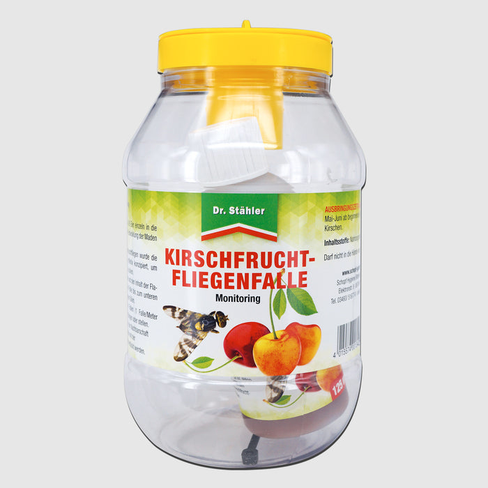 Kirschfruchtfliegenfalle