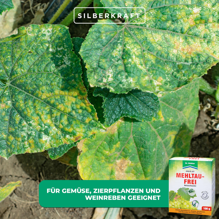 Asulfa® Jet Senza Muffa: Protezione affidabile contro muffe e acari