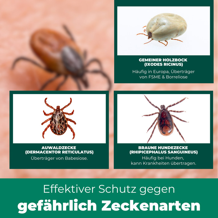 Zeckenspray Zeckenschutz - Anti Zecken Spray
