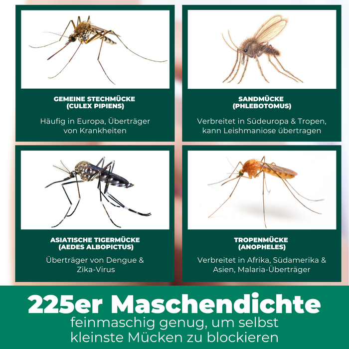 Moskitonetz gegen verschiedene Mückenarten – Schutz vor gemeiner Stechmücke, Sandmücke, asiatischer Tigermücke und Tropenmücke dank feinmaschiger Struktur.