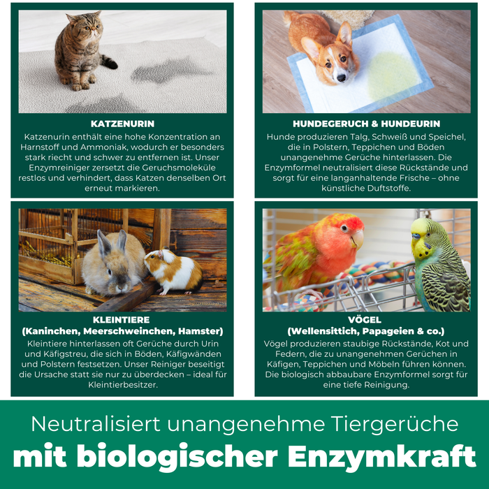 Enzymreiniger Katzen- und Hundeurin sowie Tiergerüche