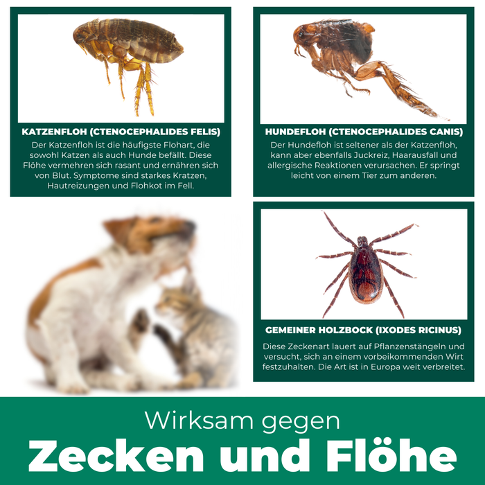 Floh- & Zeckenspray für Hunde und Katzen
