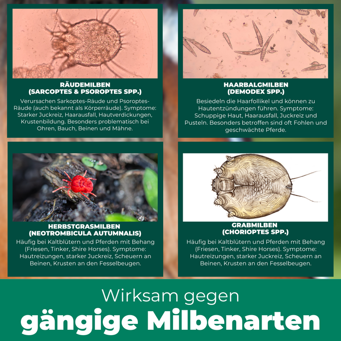 Das Milbenspray bekämpft Räudemilben, Haarbalgmilben, Herbstmilben und Grasmilben. Die Parasiten können Juckreiz und Hautreizungen verursachen.