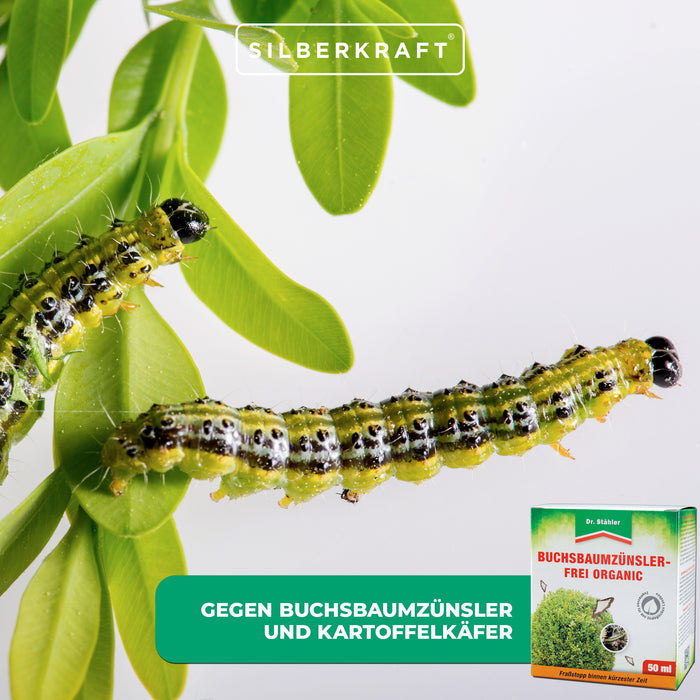 Bosso antitarme biologico: protegge efficacemente dagli insetti dannosi