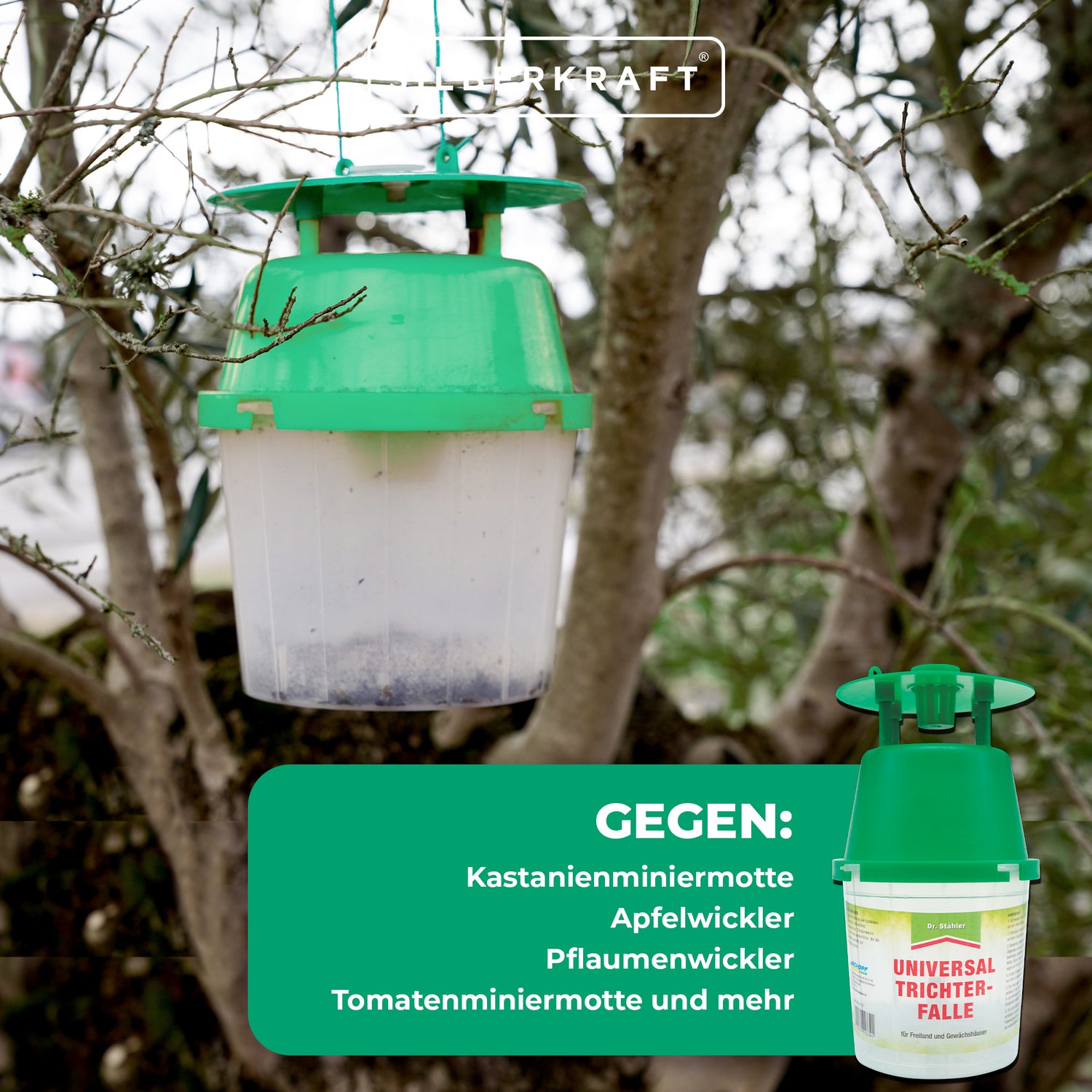 Trappola universale a imbuto senza attrattivo: soluzione pratica contro le farfalle nocive