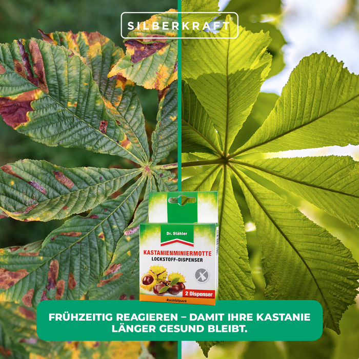 Dispenser attrattivo minatore fogliare di castagno - protezione per l'ippocastano