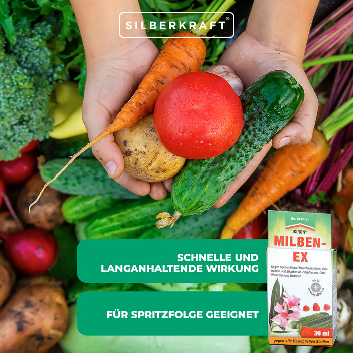 Kiron Mites-Ex: controllo efficace di ragni rossi e parassiti su frutta, verdura e piante ornamentali