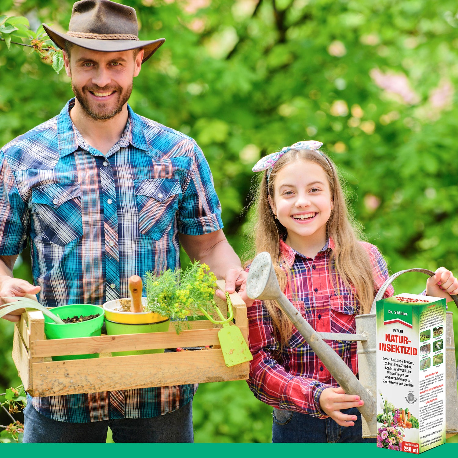 Insetticida naturale Pyreth: Protezione ottimale dagli insetti per piante ornamentali, coltivazione di frutta e verdura