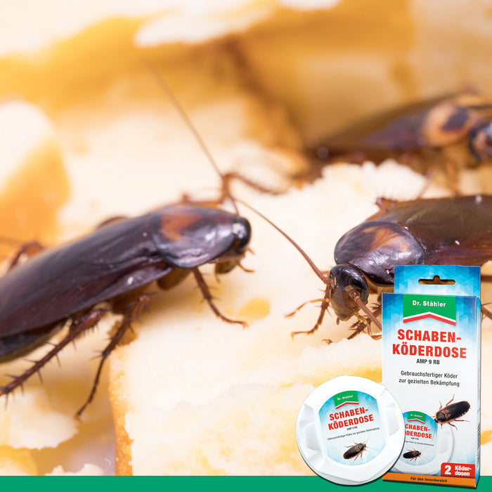 Schaben-Köderdose für Innenräume gegen die deutsche Schabe, gemeine Küchenschabe und Amerikanische Großschabe