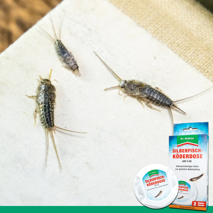 Effektive Silberfisch-Köderdose für Küchen, Bäder und andere Innenräume
