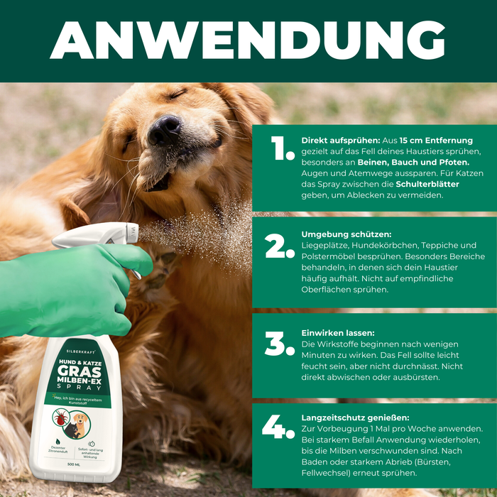 Eine Hand sprüht Silberkraft Grasmilben EX Spray auf das Fell eines Hundes.