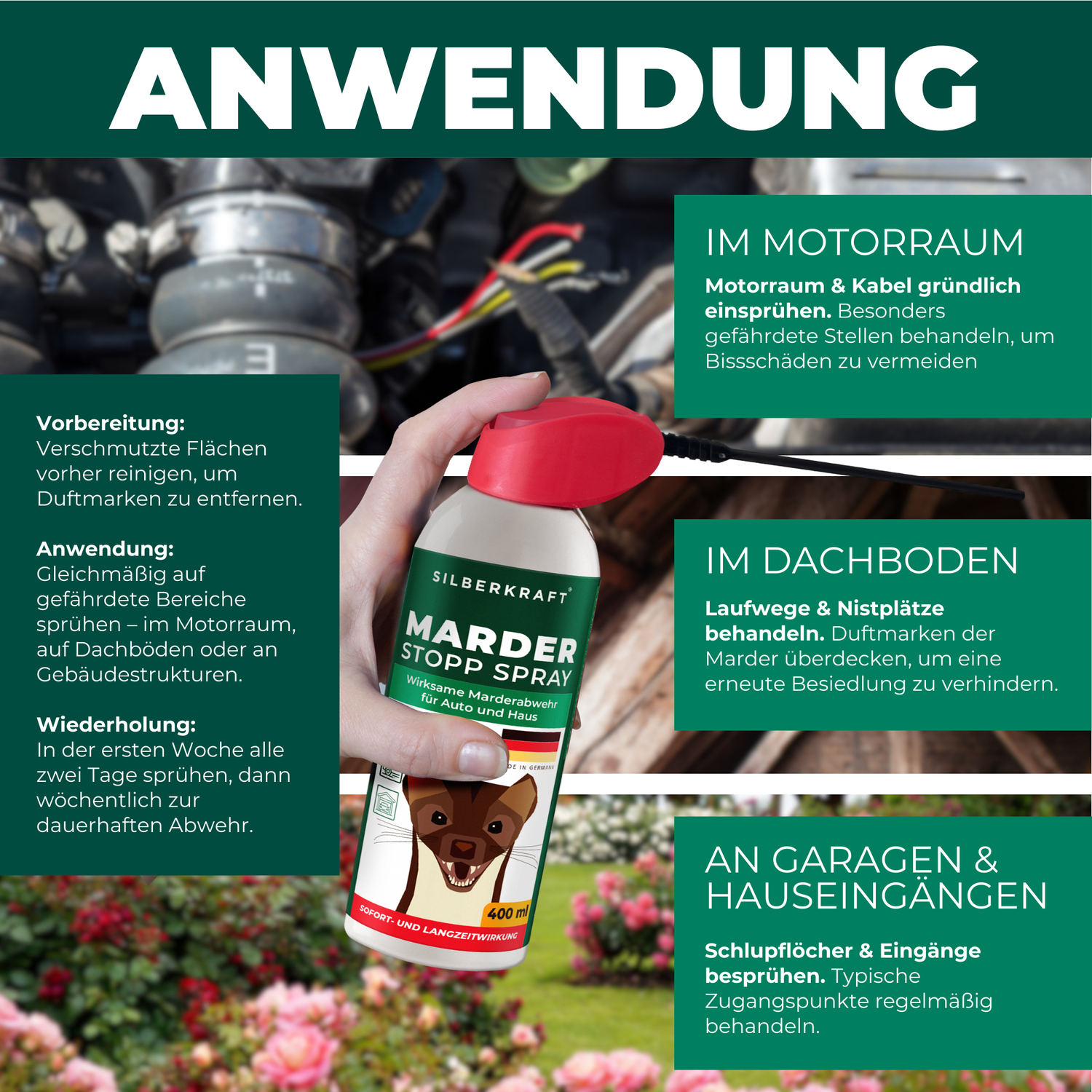 Eine Hand sprüht Silberkraft Marder Stopp Spray auf den Motoraum eines Autos, einen Dachboden und den Garten. Text erklärt die Anwendung des Sprays.