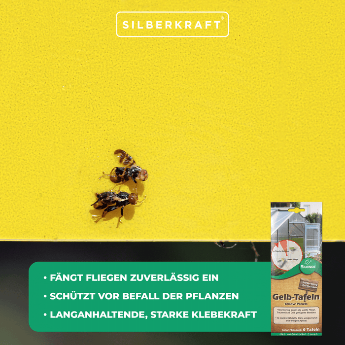 Pannelli gialli Silence (piccoli): monitoraggio ottimale contro mosche bianche, moscerini dei funghi e afidi