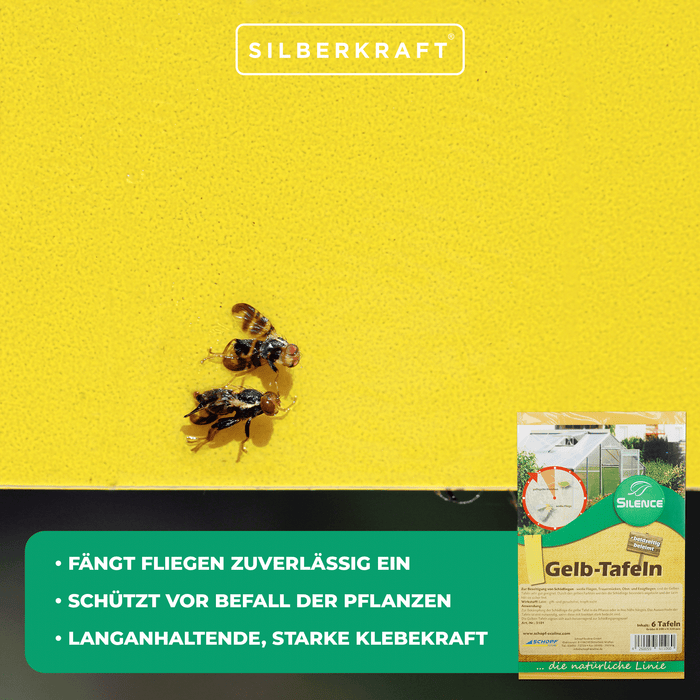 Pannelli gialli Silence: soluzione efficace contro mosche bianche, moscerini dei funghi, moscerini della frutta e dell'aceto
