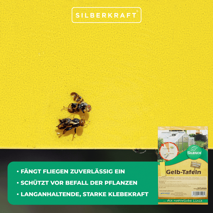 Pannelli gialli Silence (grandi): monitoraggio ottimale contro mosche bianche, moscerini dei funghi e afidi