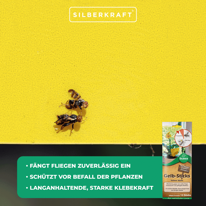 Silence Yellow Sticks: monitoraggio efficace contro mosche bianche, moscerini dei funghi e afidi