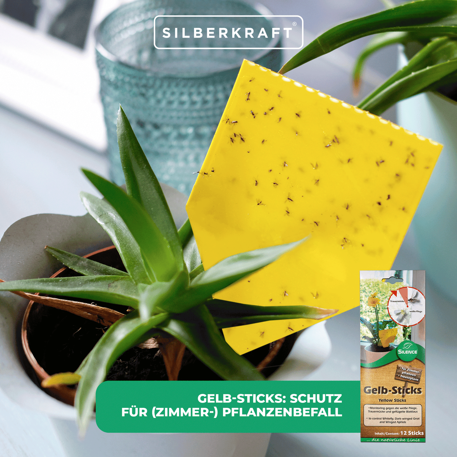 Silence Yellow Sticks: monitoraggio efficace contro mosche bianche, moscerini dei funghi e afidi