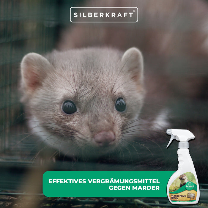 Spray Silence Marten-Free : Protection efficace contre les piqûres de martres