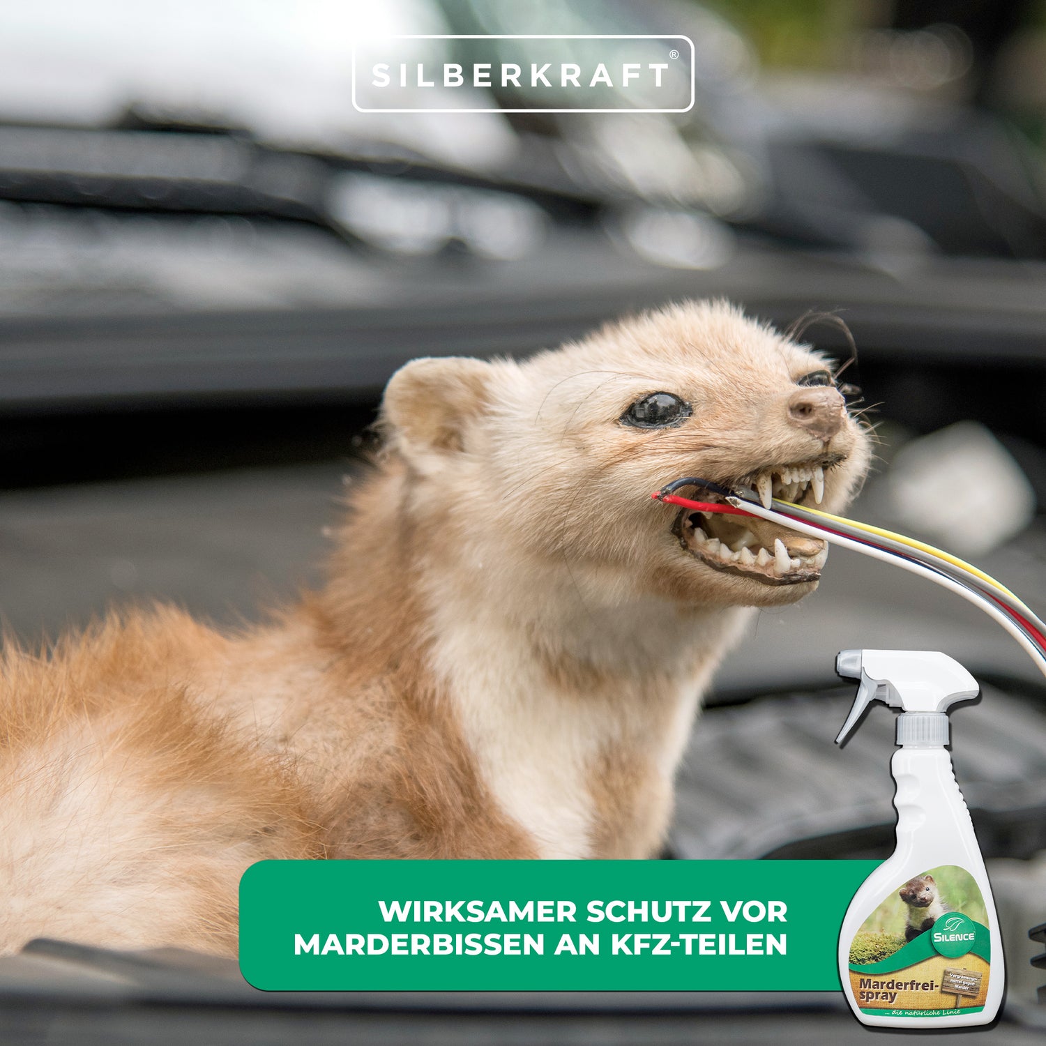 Spray Silence Marten-Free : Protection efficace contre les piqûres de martres
