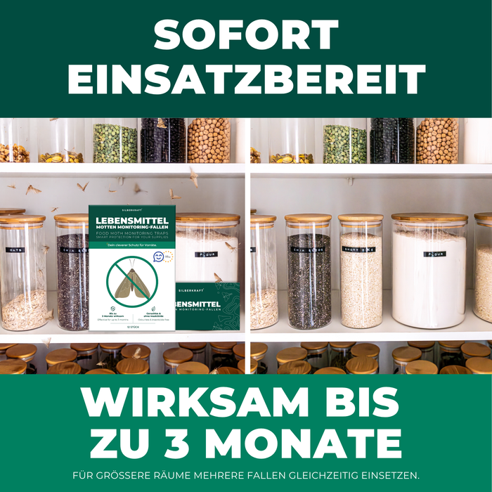 Silberkraft Lebensmittelmottenfallen sofort einsatzbereit – geruchlos, insektizidfrei, langanhaltend wirksam bis zu 3 Monate