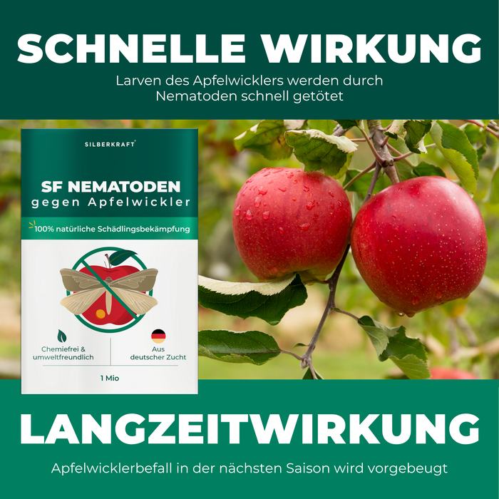 SF Nematoden gegen Apfelwickler