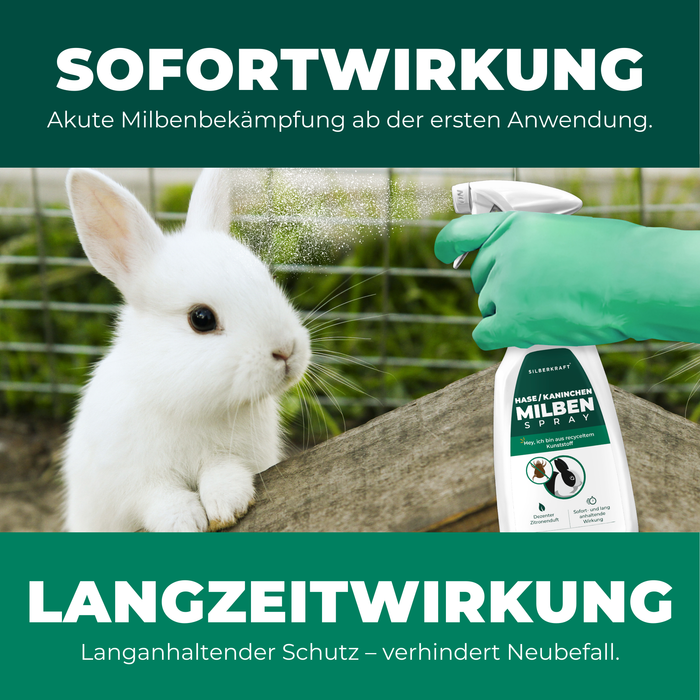Sofort- und Langzeitwirkung von Milbenspray für Kaninchen: Eine Hand mit grünem Handschuh sprüht Silberkraft Hasen & Kaninchen Milben Spray auf ein weißes Kaninchen, das auf einem Holzbrett vor einem Gitter sitzt. Text hebt akute Milbenbekämpfung ab der ersten Anwendung und langanhaltenden Schutz gegen Neubefall hervor.