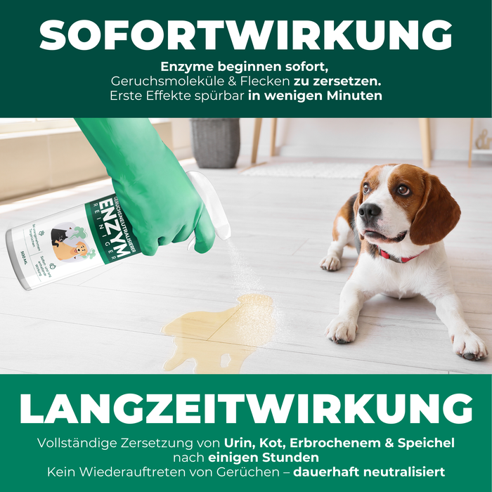 Enzymreiniger Katzen- und Hundeurin sowie Tiergerüche