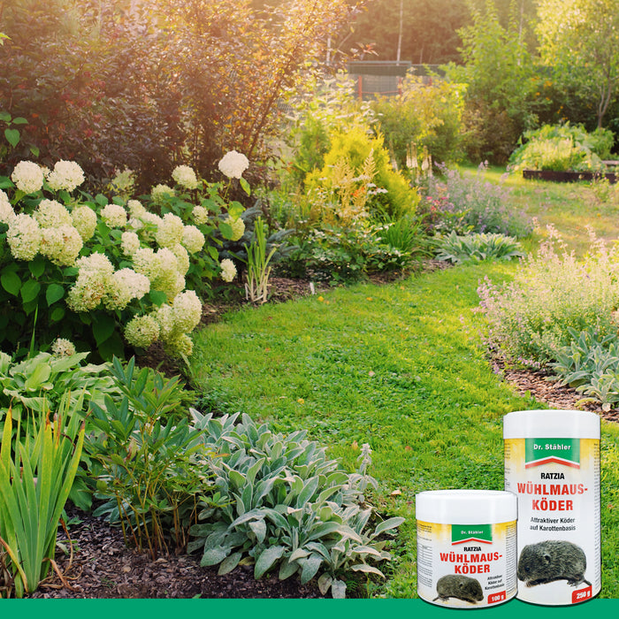 Appât pour campagnols Ratzia : Appât efficace pour campagnols à base de carottes