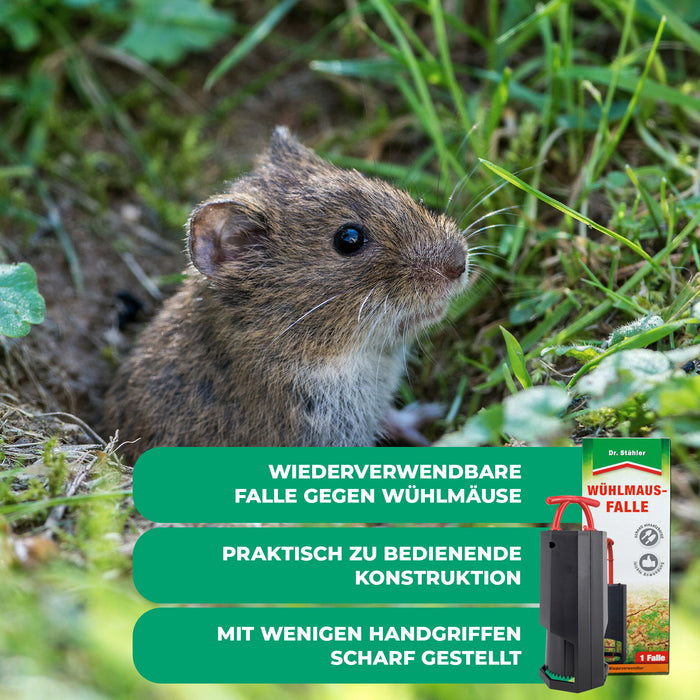 Piège à campagnols : Une protection optimale contre les campagnols pour votre jardin