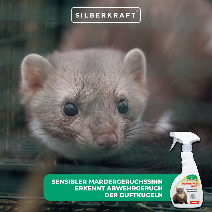 Marten-Free Spray : protection contre les martres très efficace pour la maison et la voiture