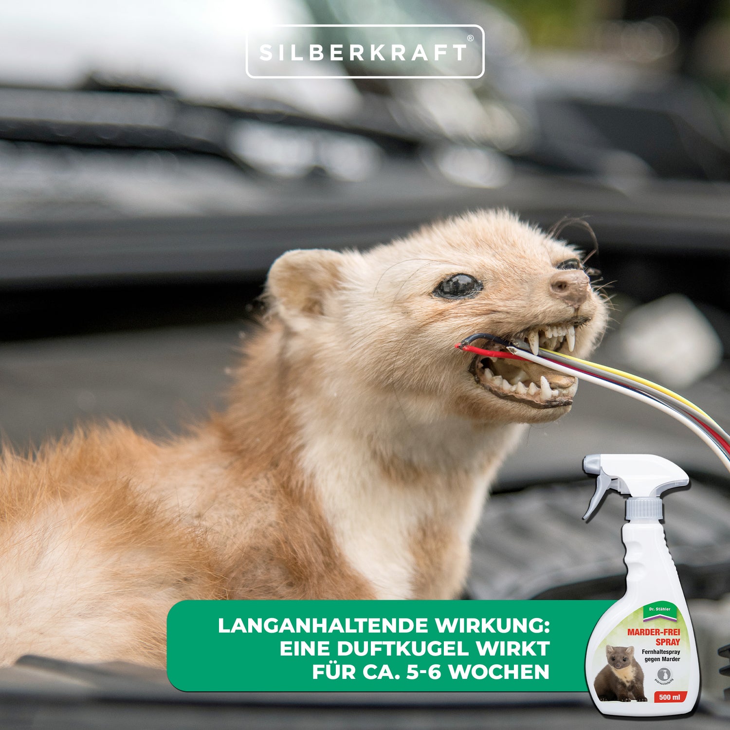 Marten-Free Spray : protection contre les martres très efficace pour la maison et la voiture