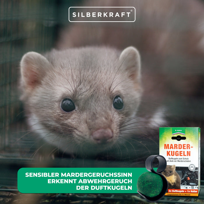 Protection efficace contre les dégâts causés par les martres : boules parfumées aux martres pour votre voiture