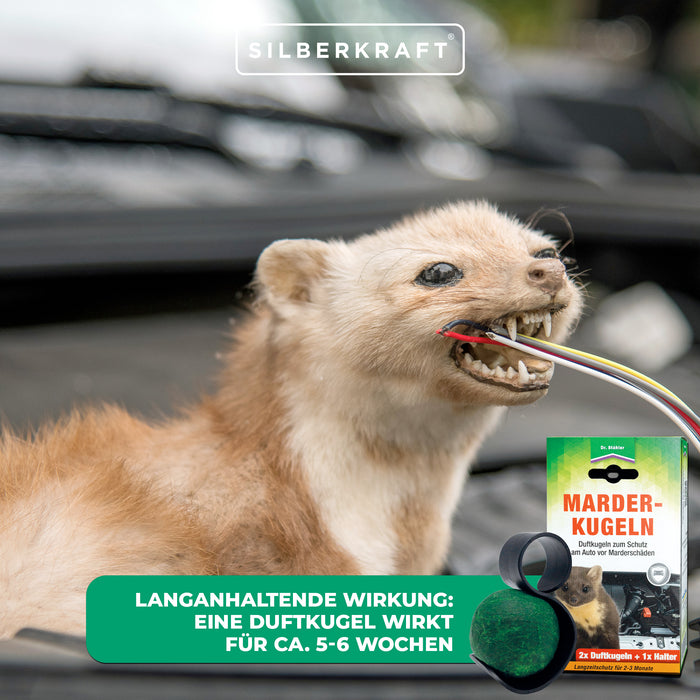 Protection efficace contre les dégâts causés par les martres : boules parfumées aux martres pour votre voiture