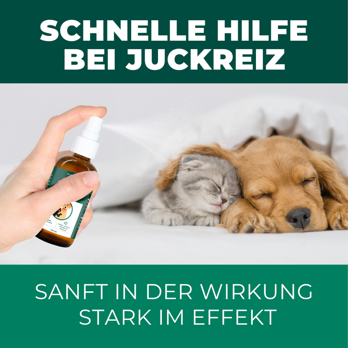 Kolloidales Silberspray 100 ml - Spray zur Wundheilung - Hautpflege bei Ungezieferbefall, Juckreiz, Infektionen, Entzündungen - für Hunde, Katzen, Nagetiere und andere Haustiere