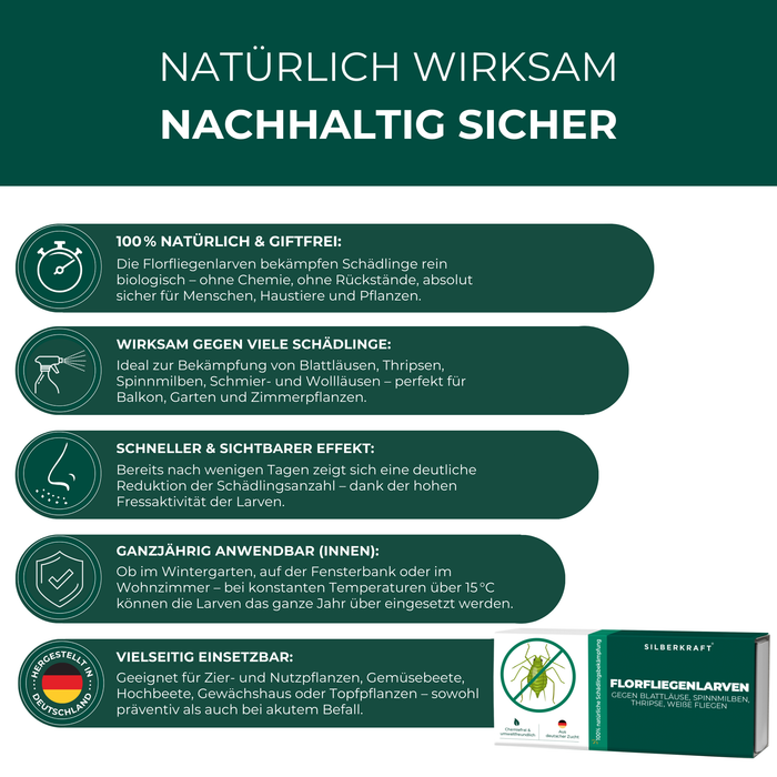 Florfliegenlarven gegen Blattläuse, Spinnmilben, Thripse, weiße Fliegen