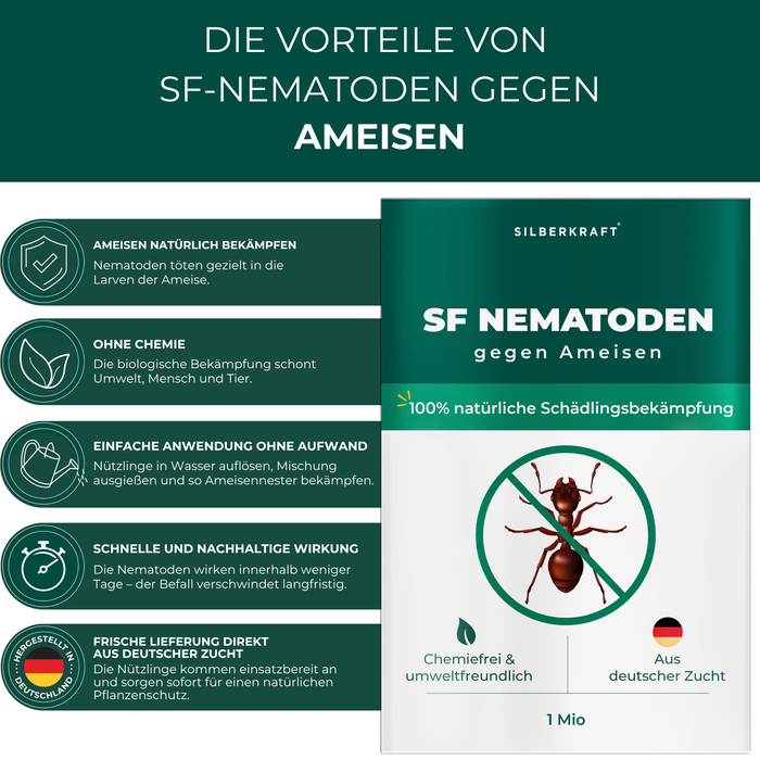 SF Nematoden gegen Ameisen