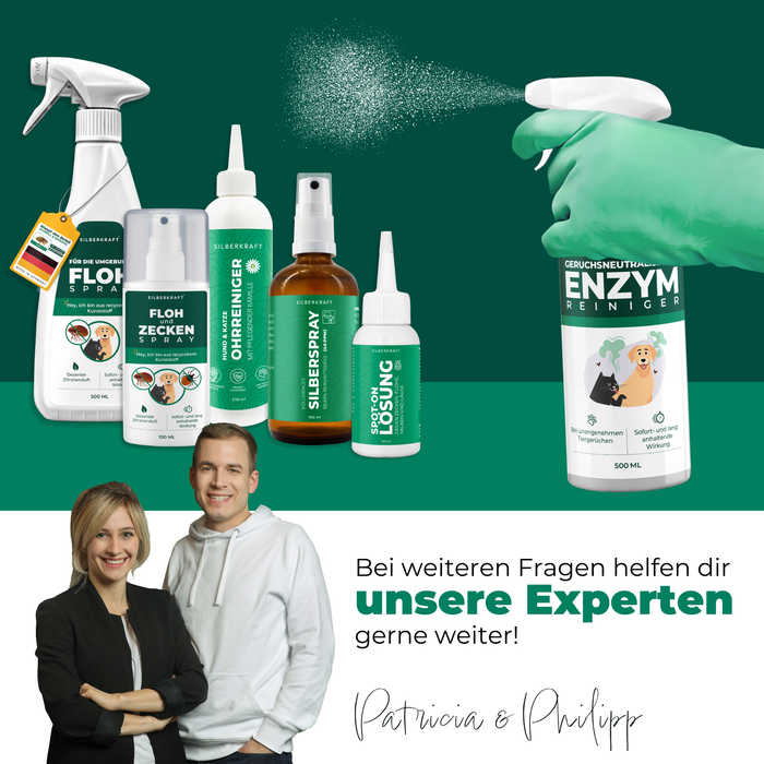 Enzymreiniger Katzen- und Hundeurin sowie Tiergerüche