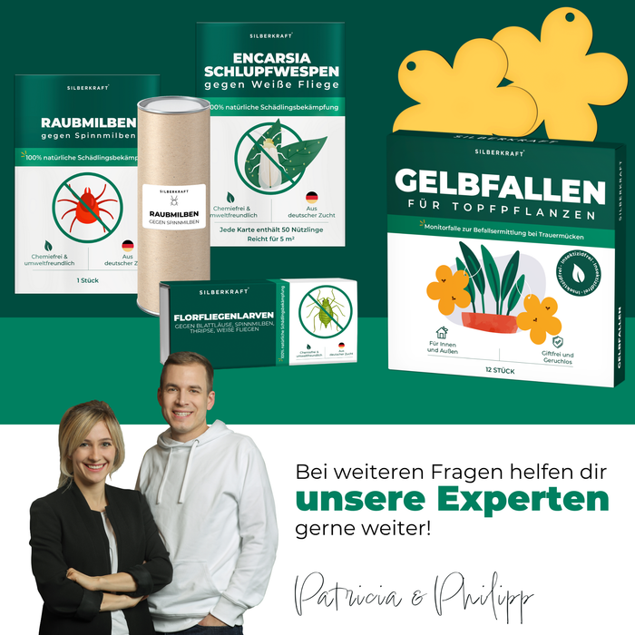 Gelbfalle Gelbtafeln Gelbsticker 12 Stück gegen Fruchtfliegen, Trauermücken, uvm.