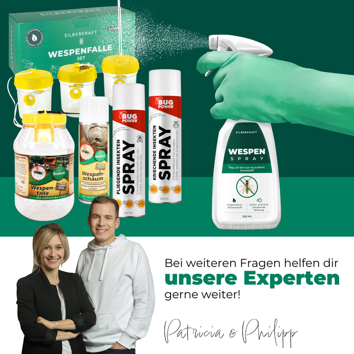 pulvérisation de guêpe