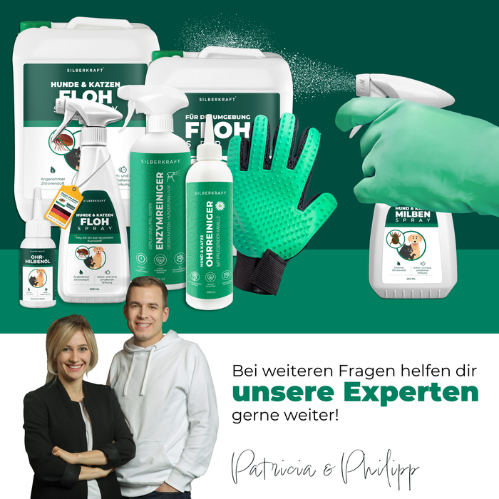 Silberkraft Produkte für Floh- und Milbenabwehr bei Haustieren: Eine Auswahl an Pflege- und Schutzprodukten, darunter Floh- und Milbensprays, Enzymreiniger, Ohrenreiniger und eine Fellpflege-Handschuhbürste. Ein Handschuh sprüht Milbenspray auf eine Oberfläche. Experten Patricia & Philipp stehen für Fragen zur Verfügung.