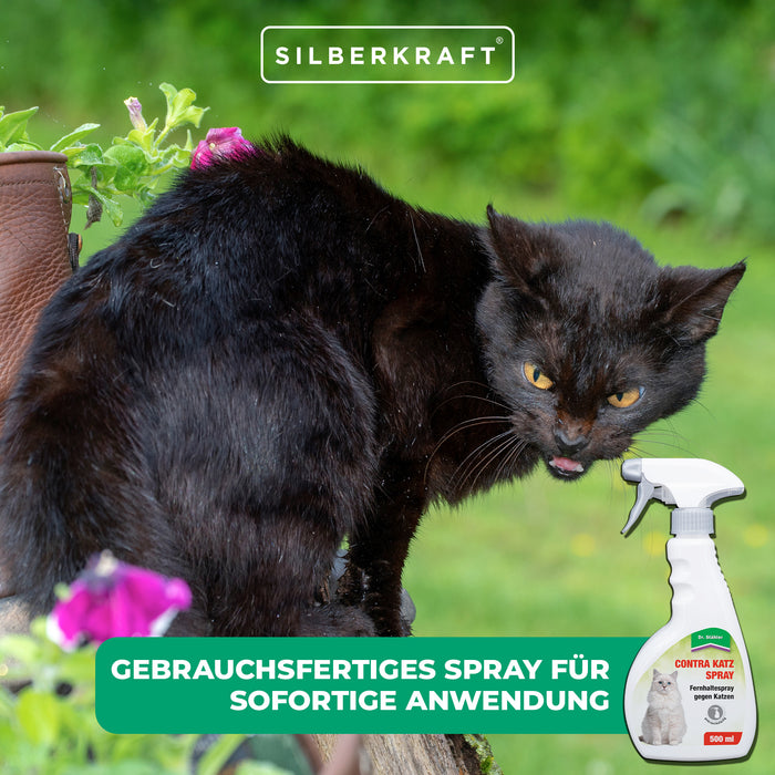Contra Katzen-Fernhaltespray: Zuverlässiger Katzenschutz für Haus und Garten