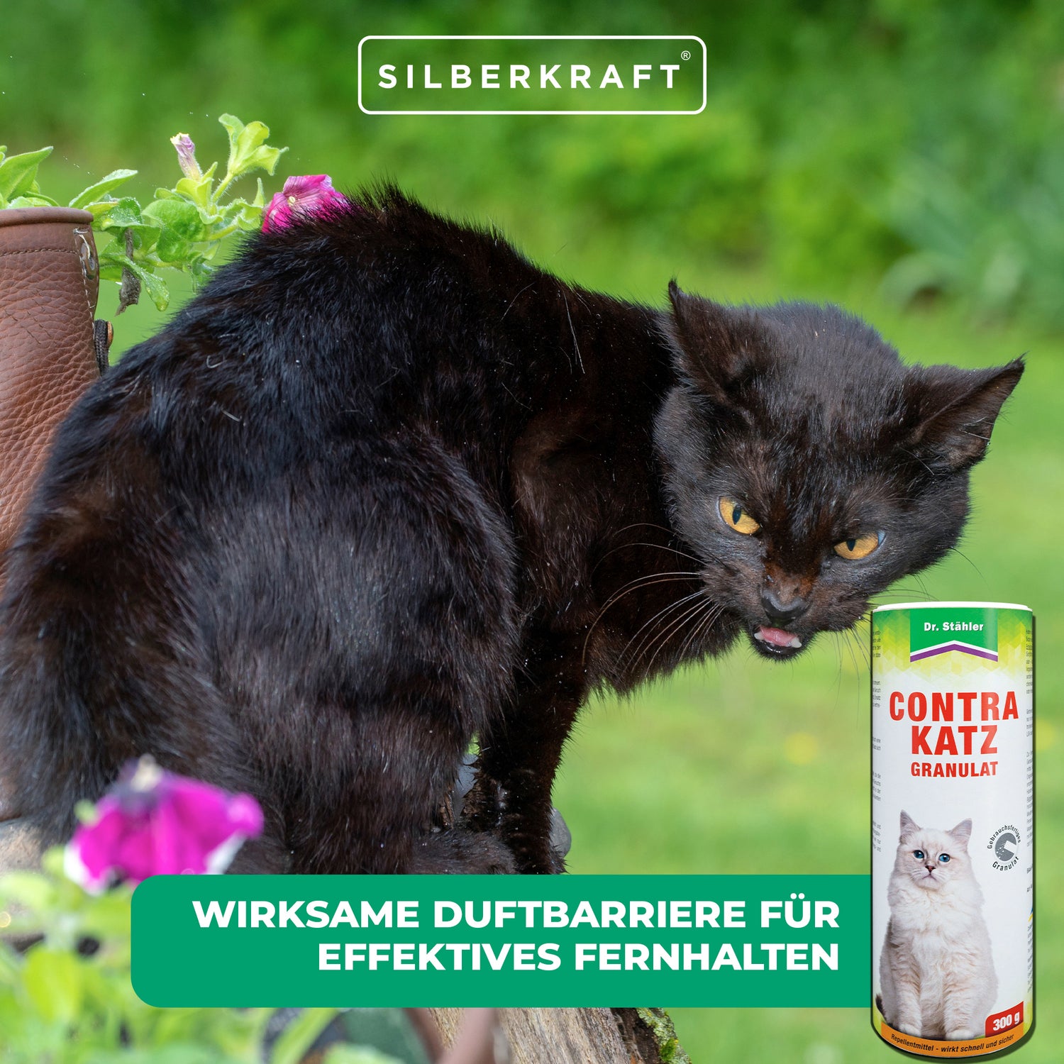 Weitere Informationen